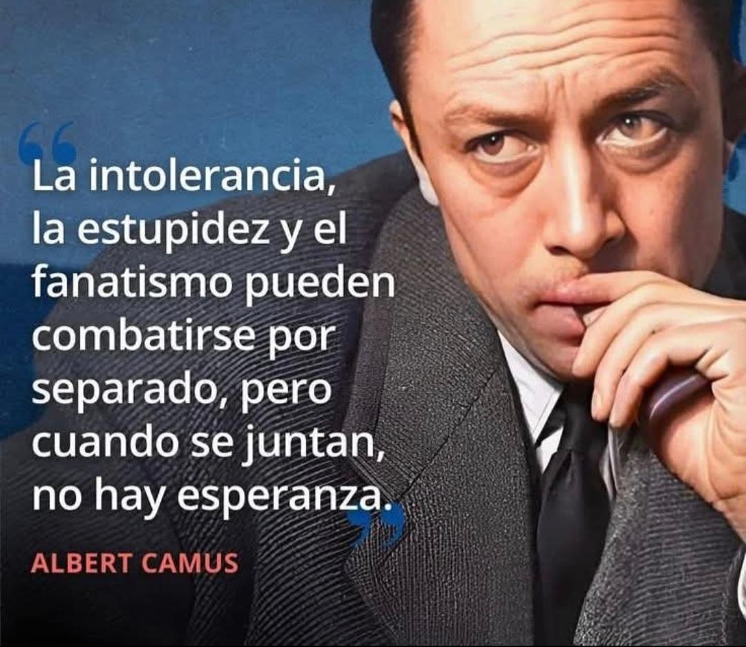 Média