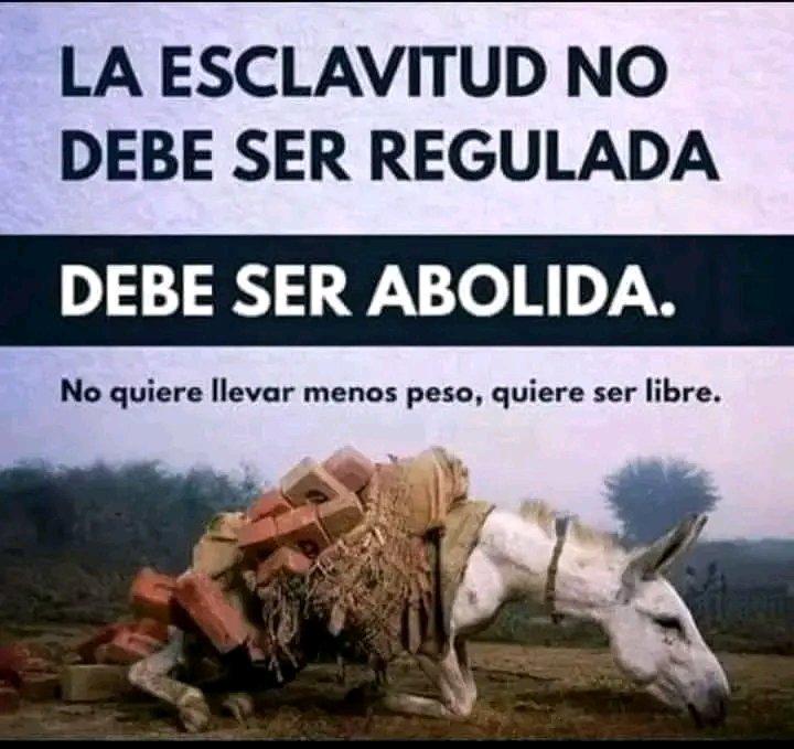 Média