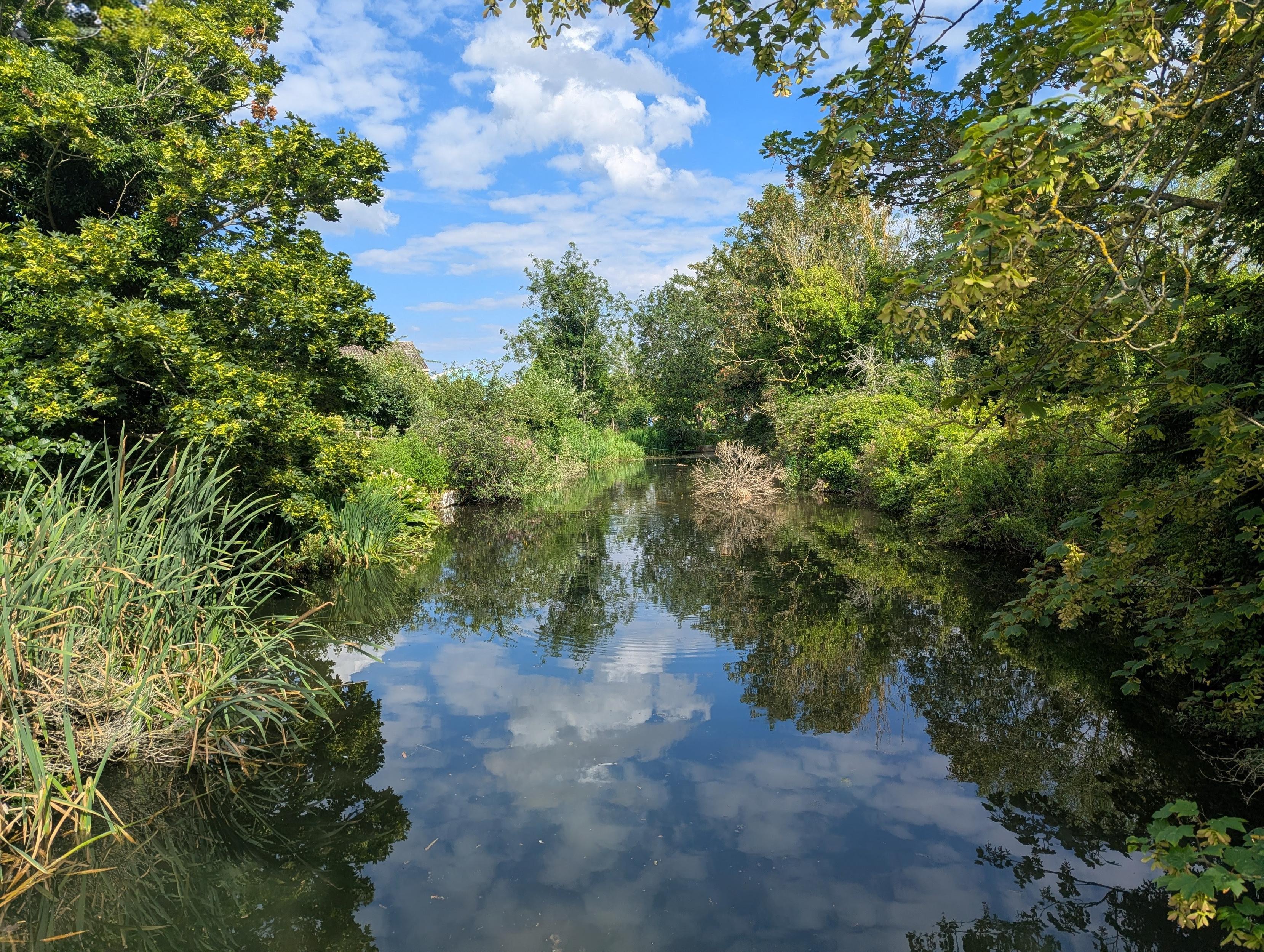 My usual view from the wooden walkway across the big pond in the allotment grounds. The blue sky with fairweather clouds is reflected in the still water.