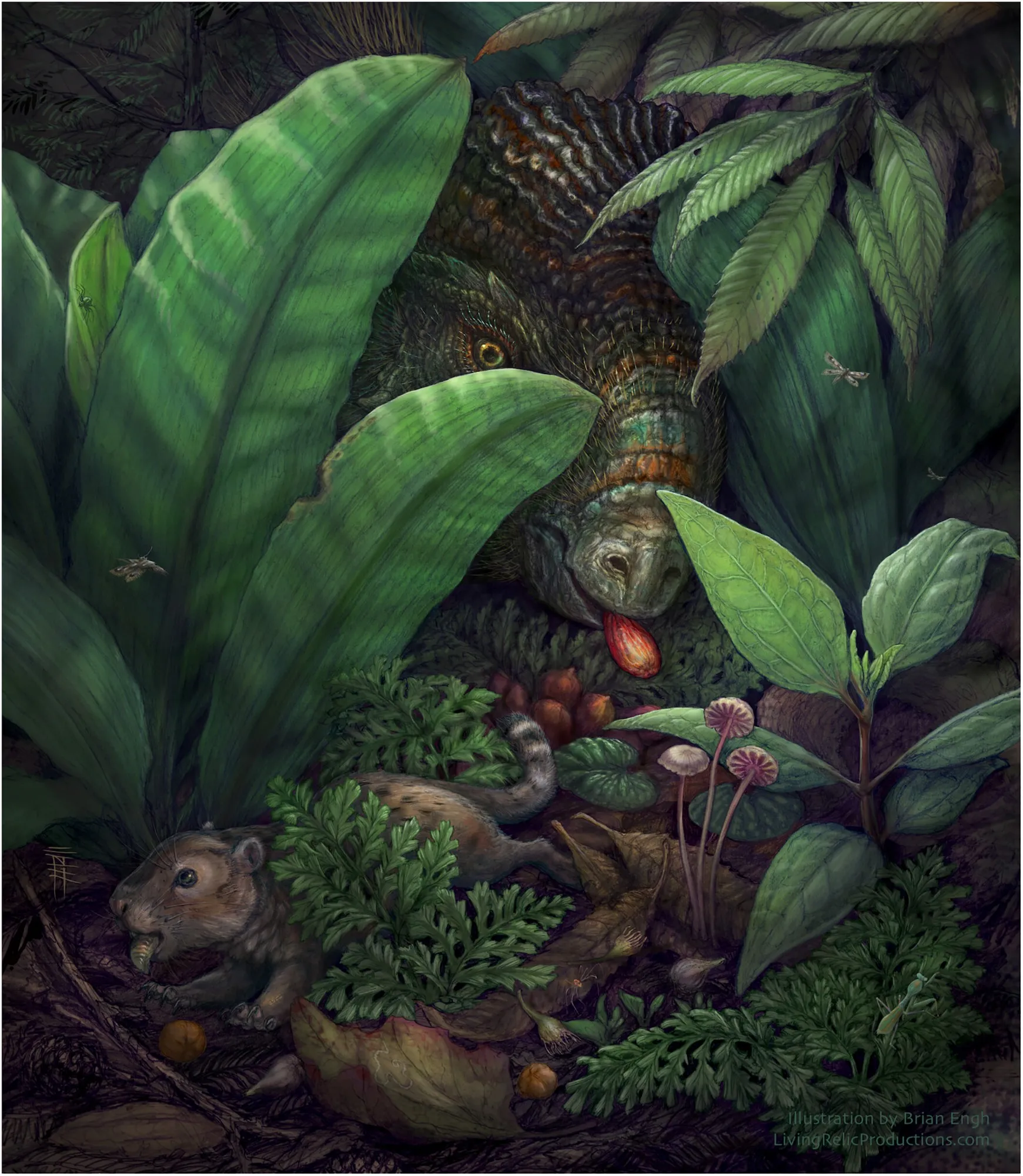 The reconstructed scene shows a multituberculate mammal and a marginocephalian dinosaur consuming large, fleshy diaspores. Flora reconstruction is based on leaf fossils co-occurring at a single quarry site of the DT flora, the Jose Creek Formation. [Illustration by Brian Engh]