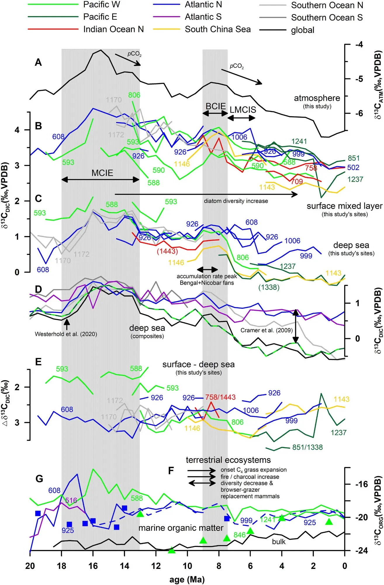 δ13C records from surface mixed layer, deep sea and sedimentary organic matter. (a) δ13CATM (this study); major intervals of pCO2 decrease indicated (Brown et al., 2022; Super et al., 2018), (b) δ13CDIC curves for DSDP/ODP sites based on δ13CCARB(PF) (this study), diatom diversity increase arrow based on Lazarus et al. (2014), (c) δ13CCARB(BF) curves (Cibicidoides) from this study's DSDP/ODP-sites; references as for planktic foraminifera (Table S1 in Supporting Information S1) except for site 608 (Cramer et al., 2009) and 1143 (Tian et al., 2017); sites between brackets represent nearby sites with more complete records, with site 1443 (Lübbers et al., 2019) replacing site 758, and site 1338 (Drury et al., 2016) replacing site 851; ε*CARB(BF)-DIC assumed to be 0.0‰, interval of mass accumulation rate peak for combined Bengal and Nicobar fans indicated (Pickering et al., 2020), (d) benthic δ13CDIC composite curves of Westerhold et al. (2020) and Cramer et al. (2009) based on δ13CCARB(BF) records, ε*CARB(BF)-DIC assumed to be 0.0‰, (e) δ13CCARB(PF) − δ13CCARB(BF) differences for this study's sites, (f) relevant terrestrial ecosystem change pertaining to forest-grassland replacement (see text), (g) δ13CORG curves for marine organic matter based on bulk material (Falkowski et al., 2005), C37:2 alkenones from haptophyte algae (sites 516, 608, 925, 999, 1241; Bolton et al., 2016; Henderiks & Pagani, 2008: Figures 4f, Pagani, 1998; Pagani et al., 1999: Figure 1a; Pagani, 2002; Seki et al., 2010; Super et al., 2018) and organic compounds in pennate diatoms (site 846; Mejía et al., 2017).