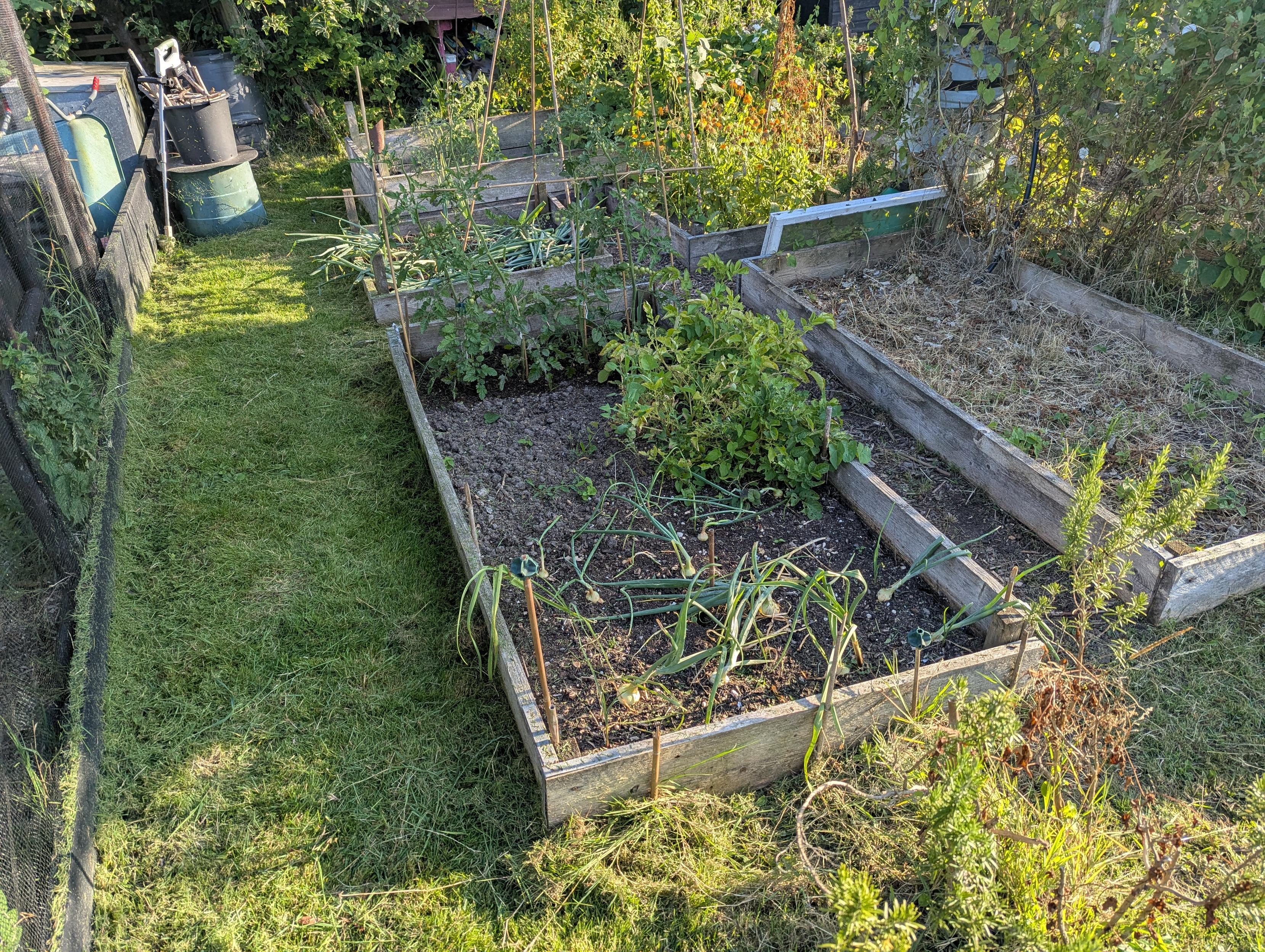 After putting the strimmer around 🙂