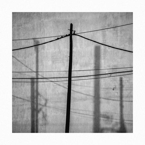 Posted media