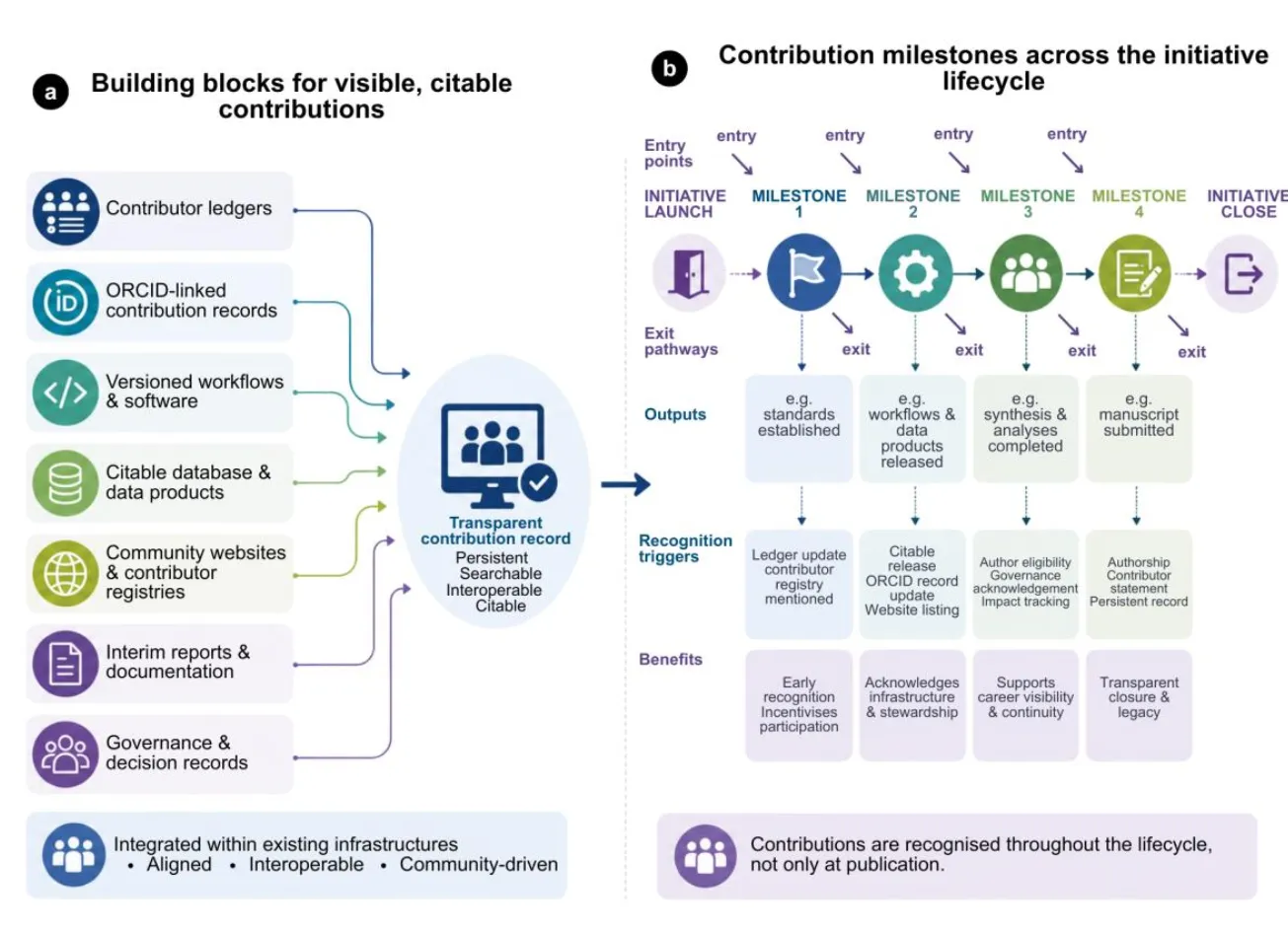 Emerging approaches for recognising contributions in infrastructure-scale Earth science collaborations. a) Conceptual framework illustrating complementary mechanisms for improving the transparency, discoverability, and citability of contributions within collaborative scientific initiatives through interoperable contributor records integrated with existing community infrastructures. b) Example of a milestone-based contribution framework showing how contributions can be recognised throughout the lifecycle of a collaborative initiative. Entry and exit pathways enable contributors to join and leave at different stages while ensuring that outputs, contribution records, and recognition triggers are documented longitudinally rather than solely at the point of publication.