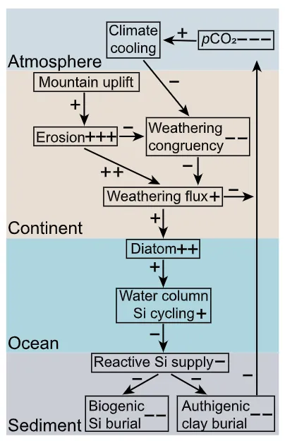 Conceptual model of the Cenozoic reorganization of the coupled tectonic–climate system. Arrows indicate the direction of influence between key components of Earth’s surface system. Plus (+) and minus (–)signs denote the secular increase or decrease of fluxes; the number of signs denotes the magnitude