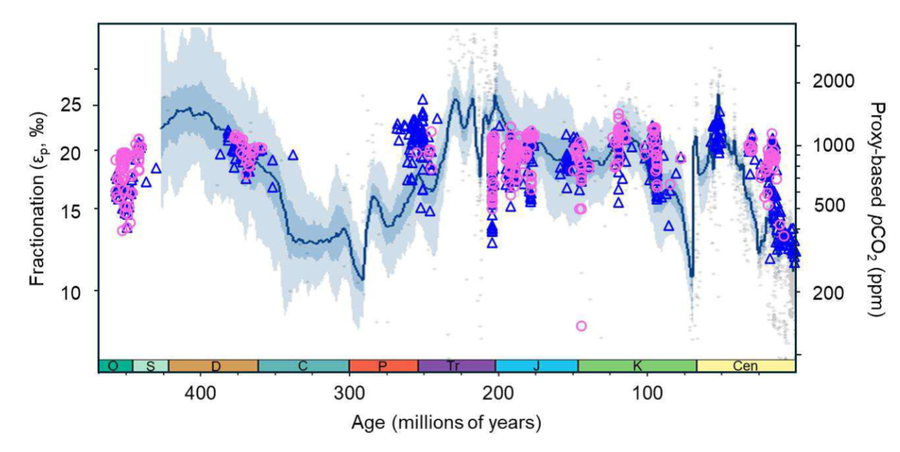 εp compared with pCO2. The stable carbon isotopic fractionation associated with CO2-fixation (εp), calculated using the δ13C of pristane (pink circle) and phytane (blue triangle) relative to the δ13C of biogenic carbonate. Compiled pCO2 reconstructions (grey circles) and LOESS fitted in 0.5 Ma bins (line) for the five most frequently used proxies (the Cenozoic; the remaining Phanerozoic).