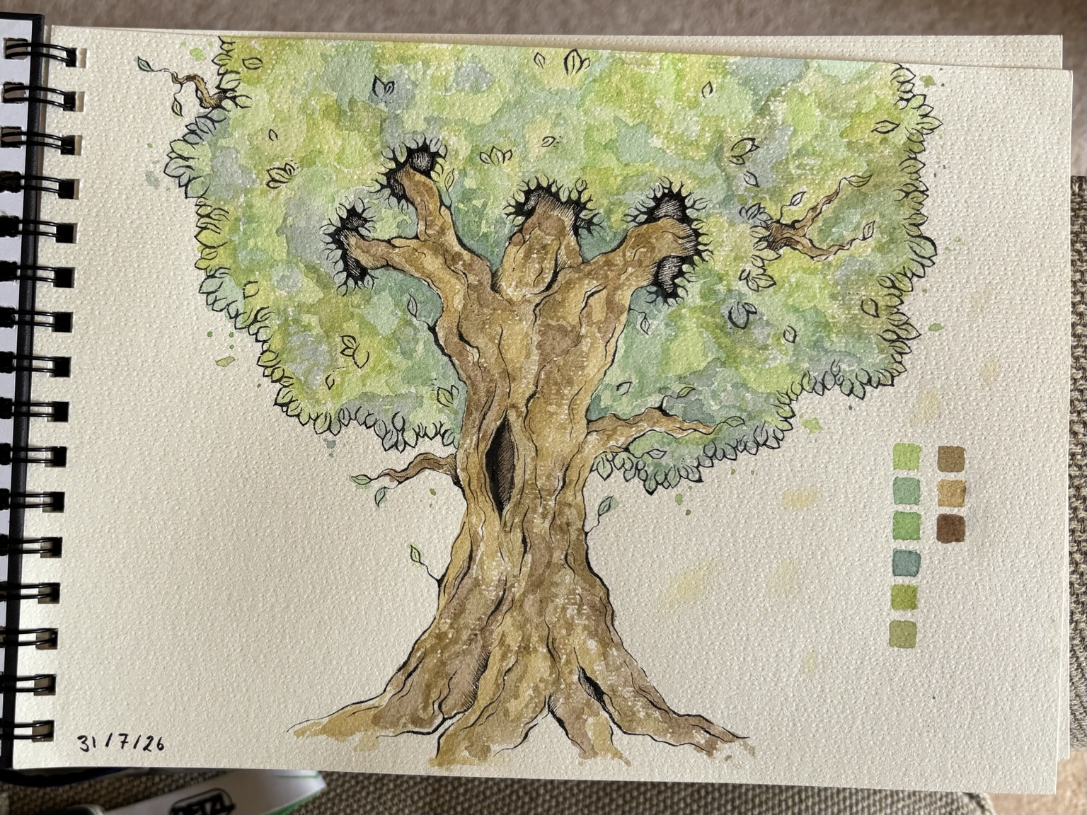 An ink lined drawing of a tree, painted in water colours.