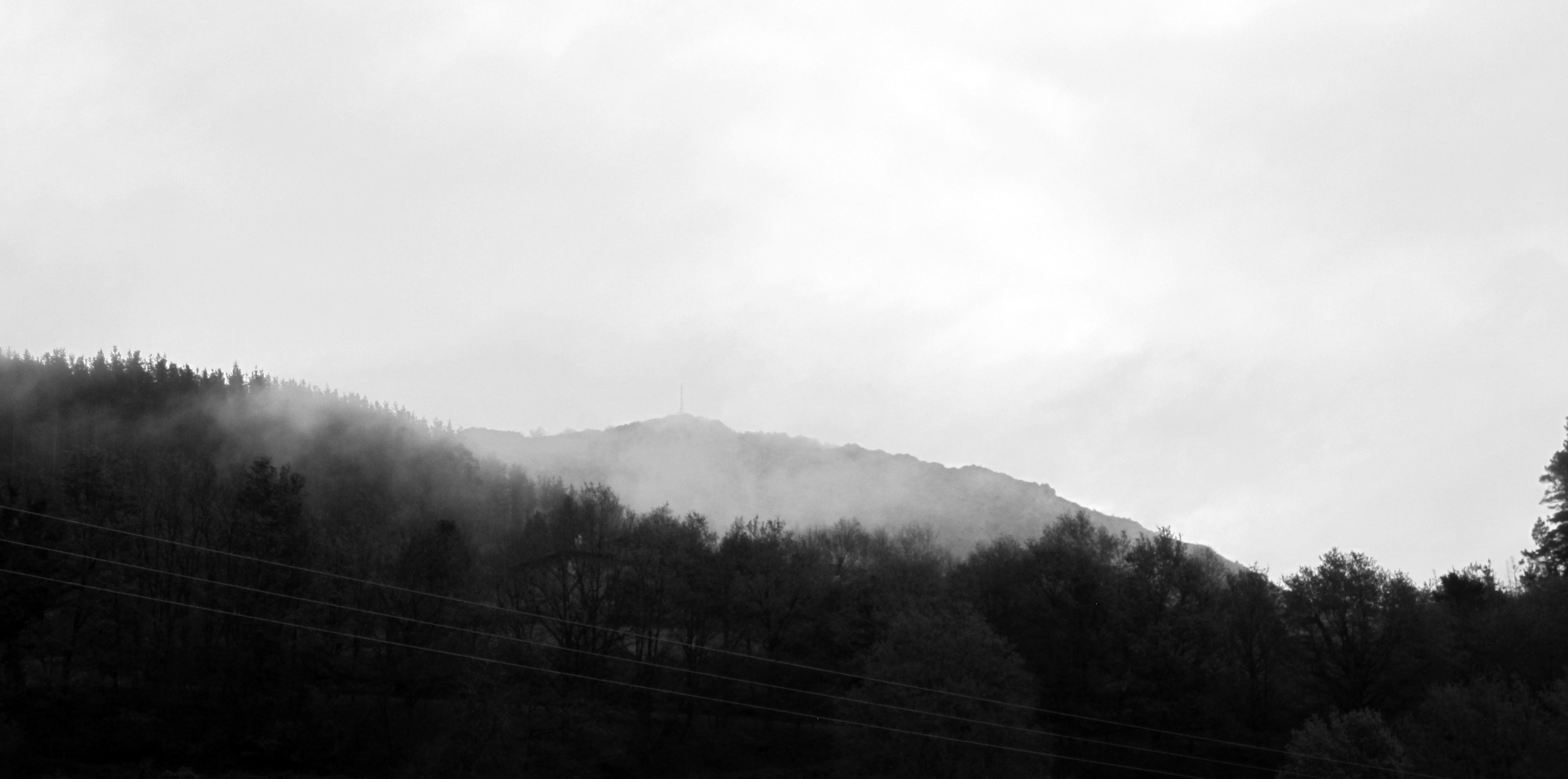 Fotografía en blanco y negro de monte boscosos envueltos en niebla