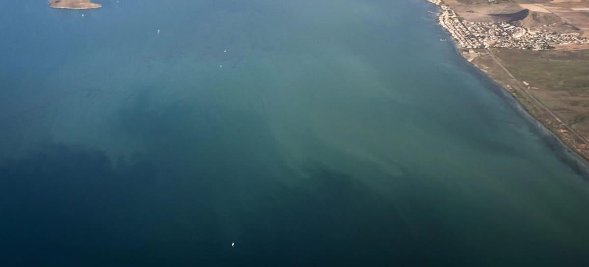 La mancha blanca del Mar Menor (©Greenpeace/Pedro Armestre).