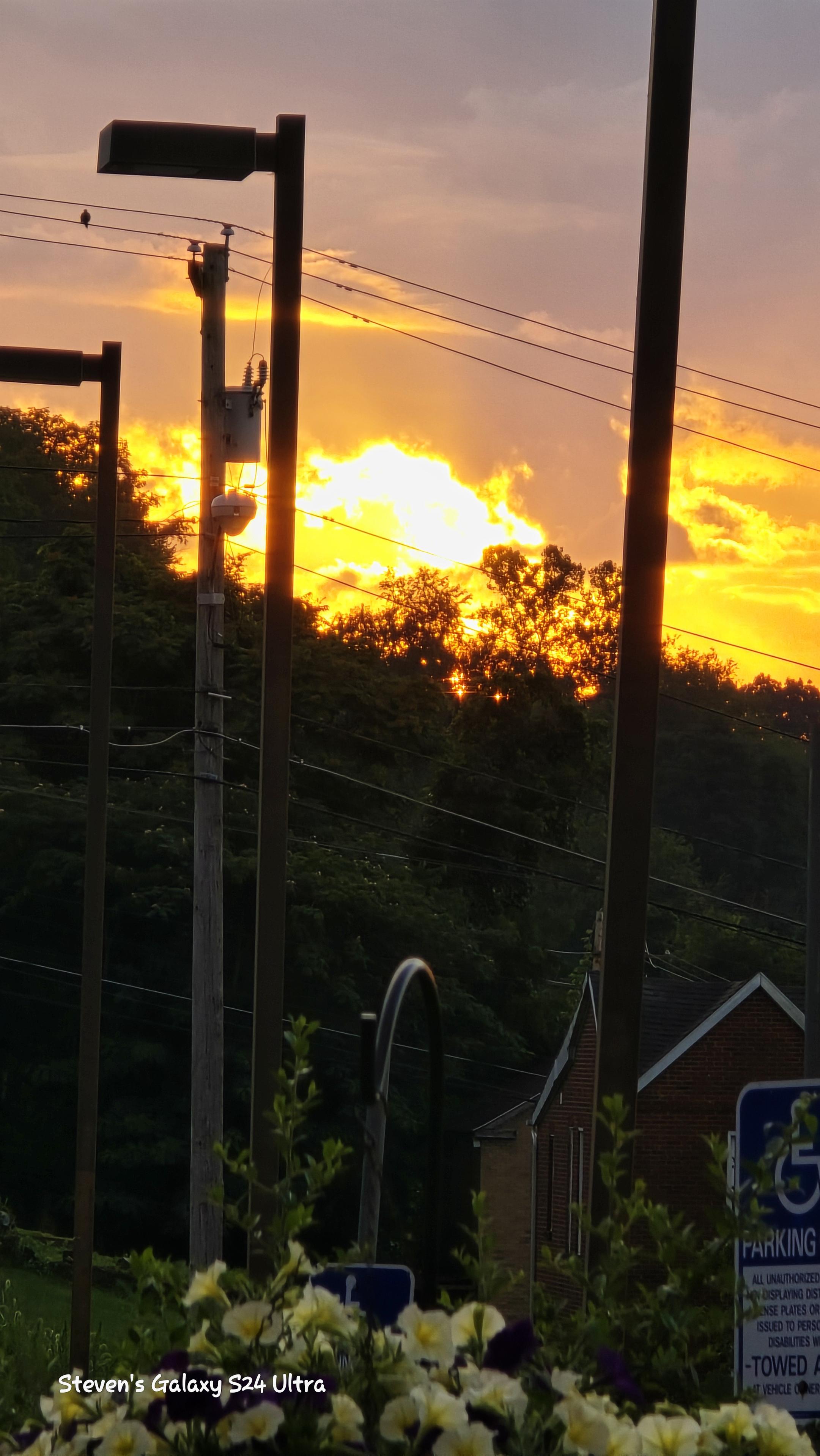 Sunset sky with dramatic orange and yellow clouds over silhouetted trees and a house. Foreground includes a parking sign and flowers, creating a serene scene.