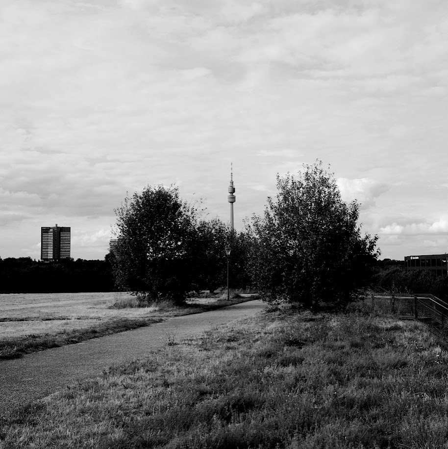 a path, a tower and an office block with some bushes