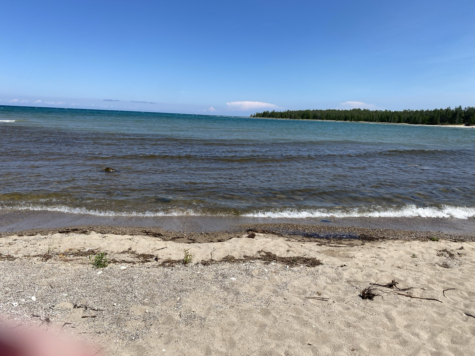 Lake huron in sunlight with lots of whitecaps and small eaves and rocky shore with trees in the middle right of photo