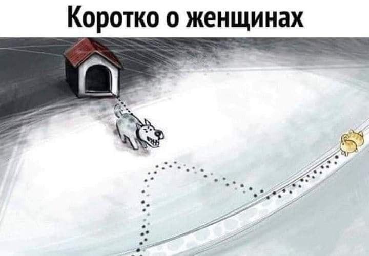 Posted media