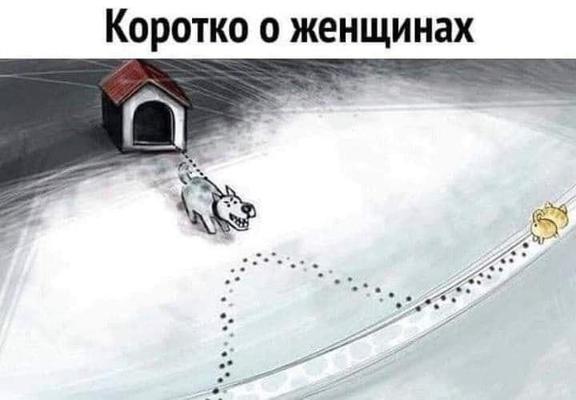 Posted media