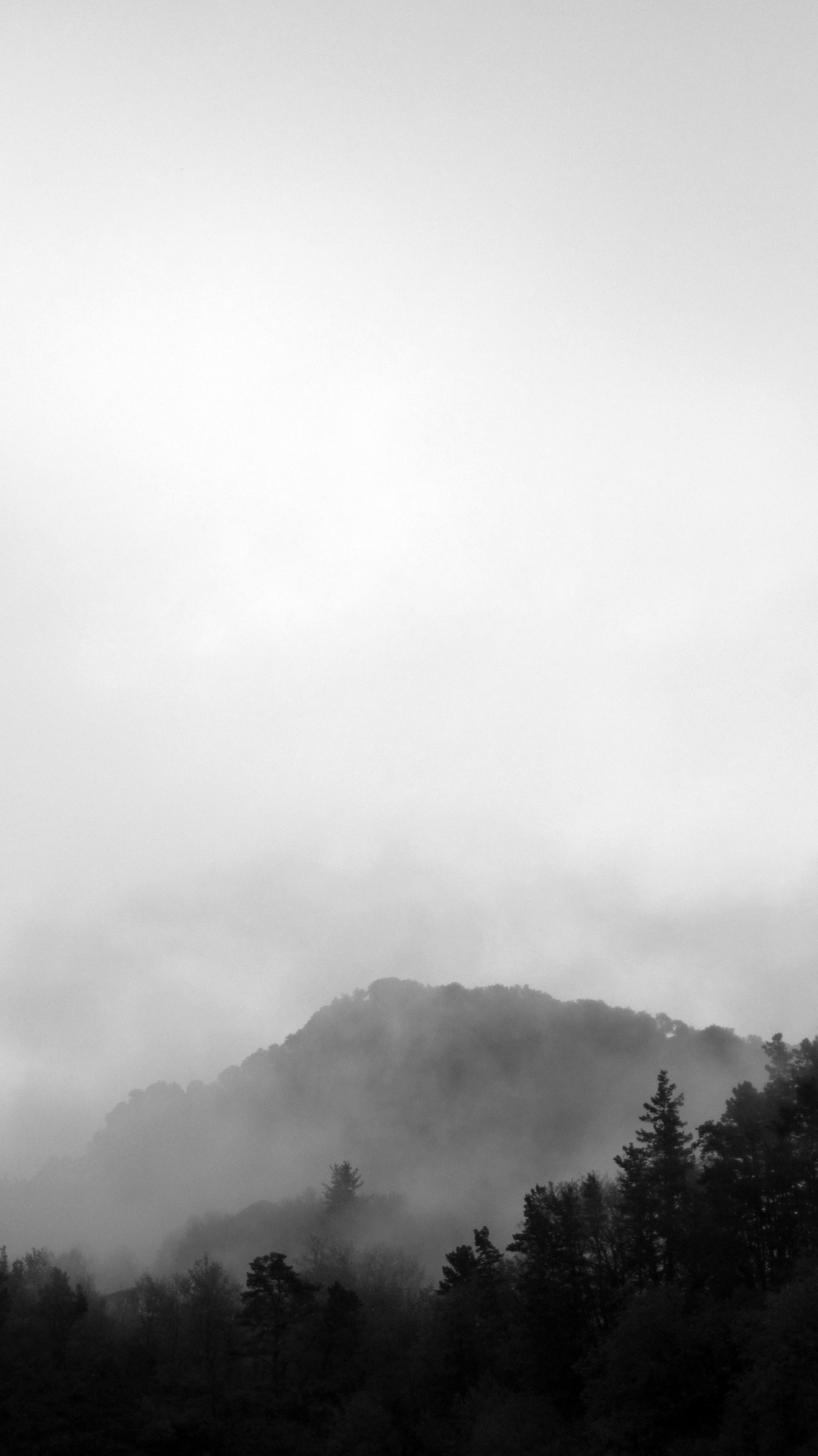 Fotografía en blanco y negro de un monte boscoso envuelto en niebla
