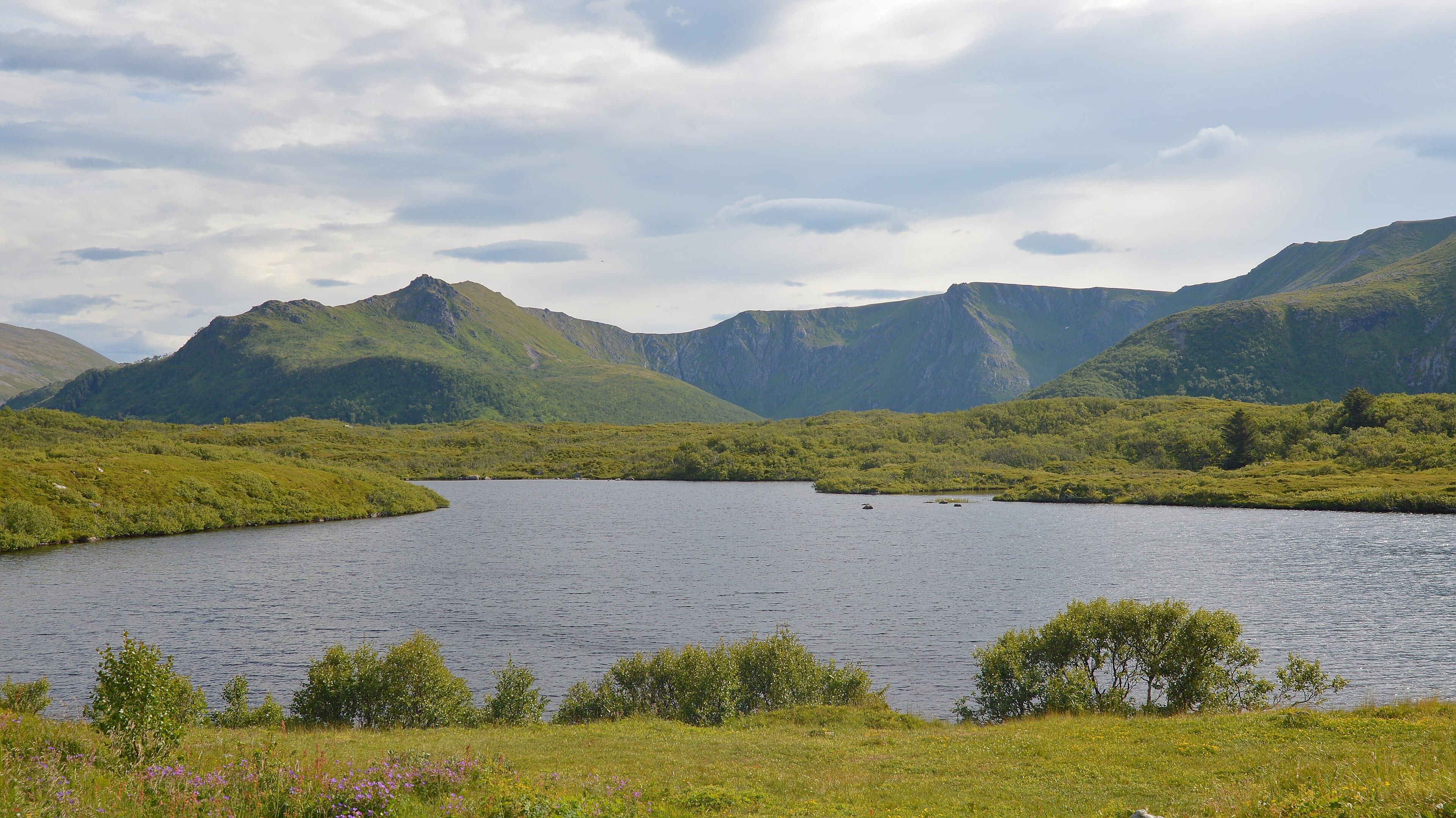 A photo of a lake surrounded by low growing plants. There are mountains in the distance. The sky is filled with clouds.