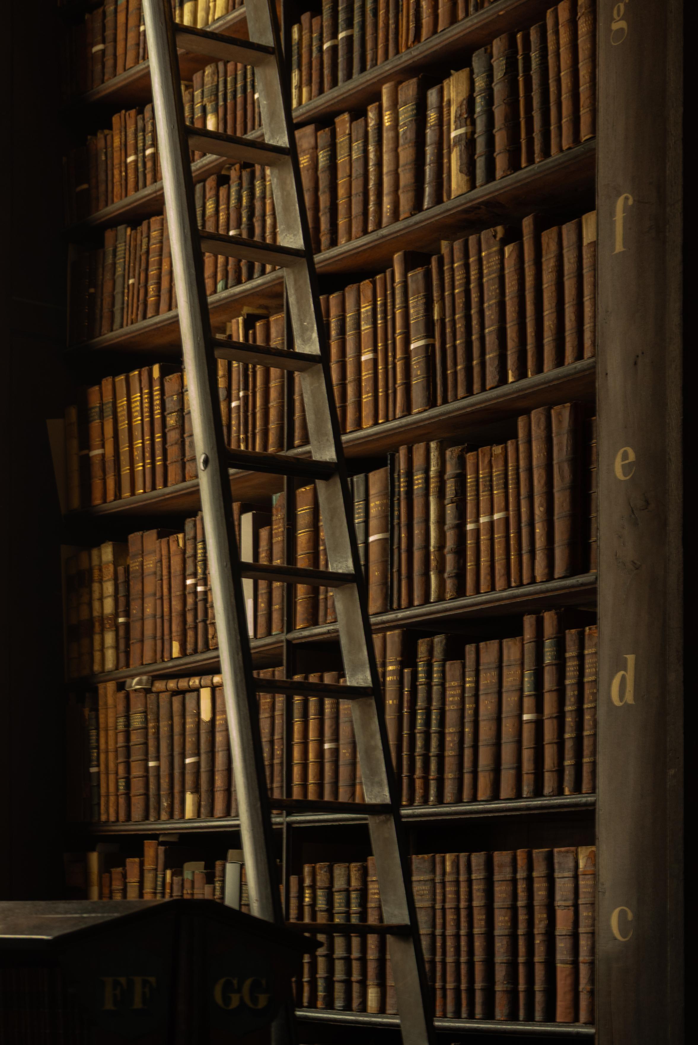 a photo of a book shelf from top to bottom in the Long Room at Trinity College Dublin. gold letters on the shelf pillars (c, d, e, f, g), a wooden ladder in the foreground cuts the image diagonally.  rows of leather-bound volumes in every shade of brown and amber behind the letter,  double-lettered drawer labels (FF, GG) at the bottom