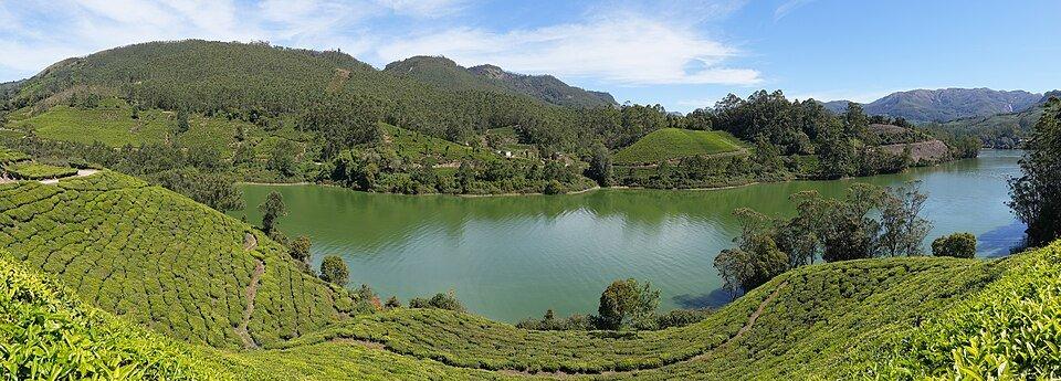 Tea plantations at Mattupetty reservoir / Kannan Devan Hills, Idukki district, Kerala, India photo by Ingo Mehling