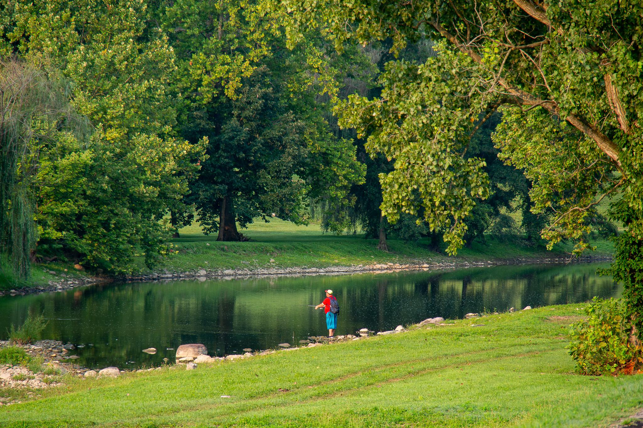 A river with grassy banks on both sides. Foreground is a mowed grassy area. There is a tree with green leaves on the right of the frame. There are some rocks along the banks of the river. In the middle of the frame, on the near bank, is a fisherman with blue shorts, a red shirt, a white hat, and a dark backpack. The fisherman is relatively small in the frame. On the far bank are a number of trees with green leaves. The water is still, and trees can be seen reflected on the surface of the water.