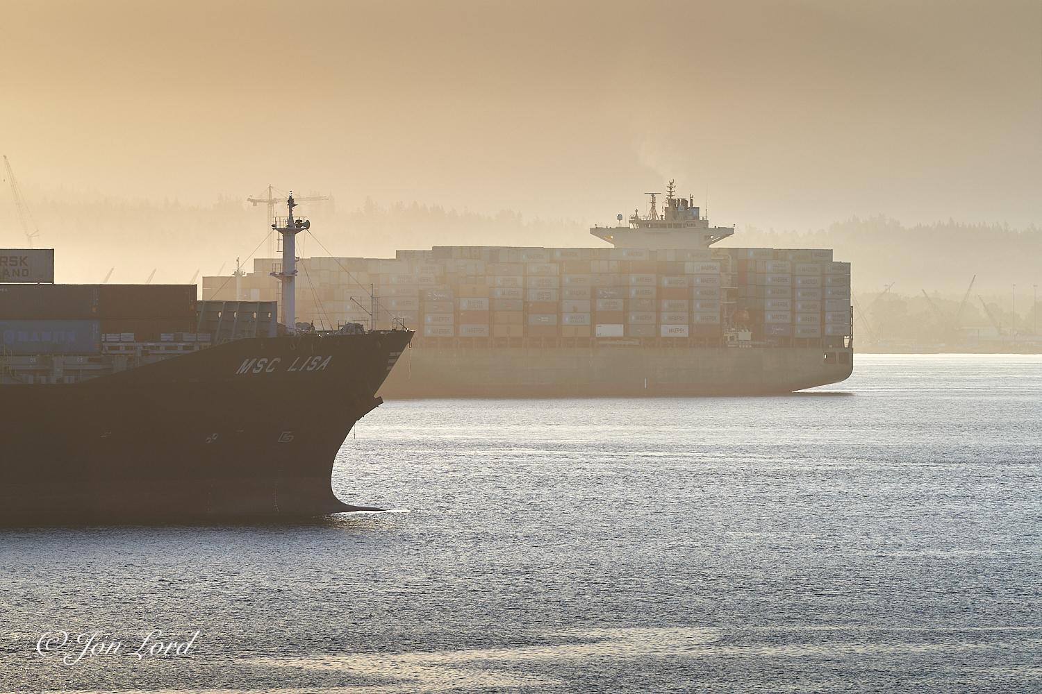 This is a sunrise photo in landscape format of two passing container ships, one leaving port, one arriving. Vancouver, BC (2017).

The light blue and rippled harbour water rises from the base of the photo upwards to the halfway up level. In the foreground and to the left of centre is the bow and forward section of a large container ship entering port. The ship is viewed in profile with the bow and forward ten to fifteen metres section in view and with the camera positioned about thirty metres away. The ship is underway from left to right at a very slow speed, that is hardly causing any wake. The vessel is in shadow but a few details are visible. Aft of the bow on the upper part of the hull is the vessel's name 'MSC LISA' with a short white mast on the deck above. Behind are a number of multi coloured '40 foot' shipping containers. Beyond the MSC LISA is a further container ship that is departing port and underway from right to left. Again, underway at such slow a speed that only the sl
