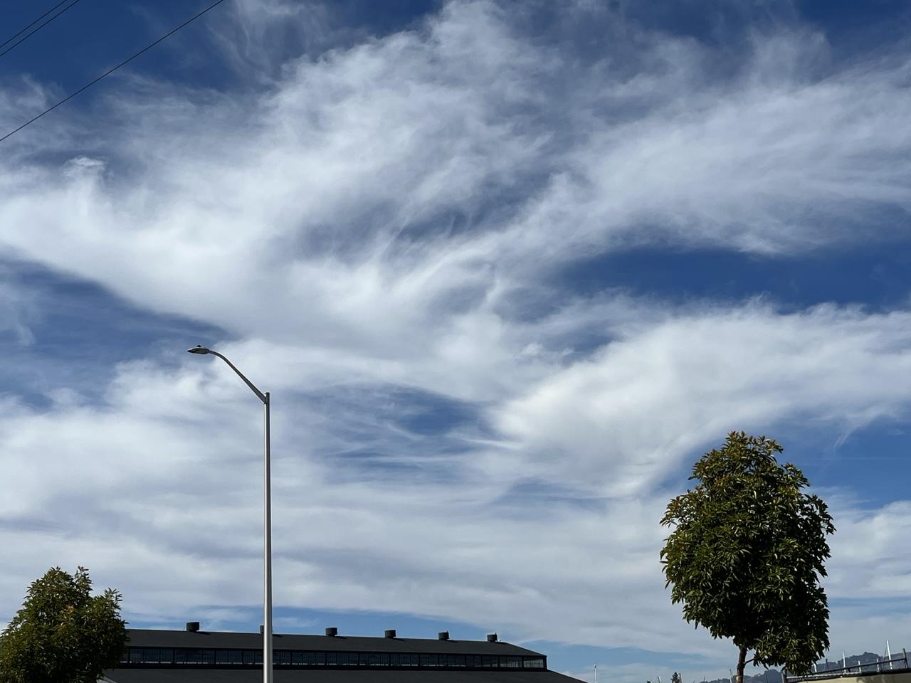 White clouds on blue sky, as if spread like paint with a pallet knife. The roof of a long building is visible at the bottom of the frame on the left side. A street light rises above it in the foreground. A small tree topped with a compact ball of leaves occupies the lower right corner.