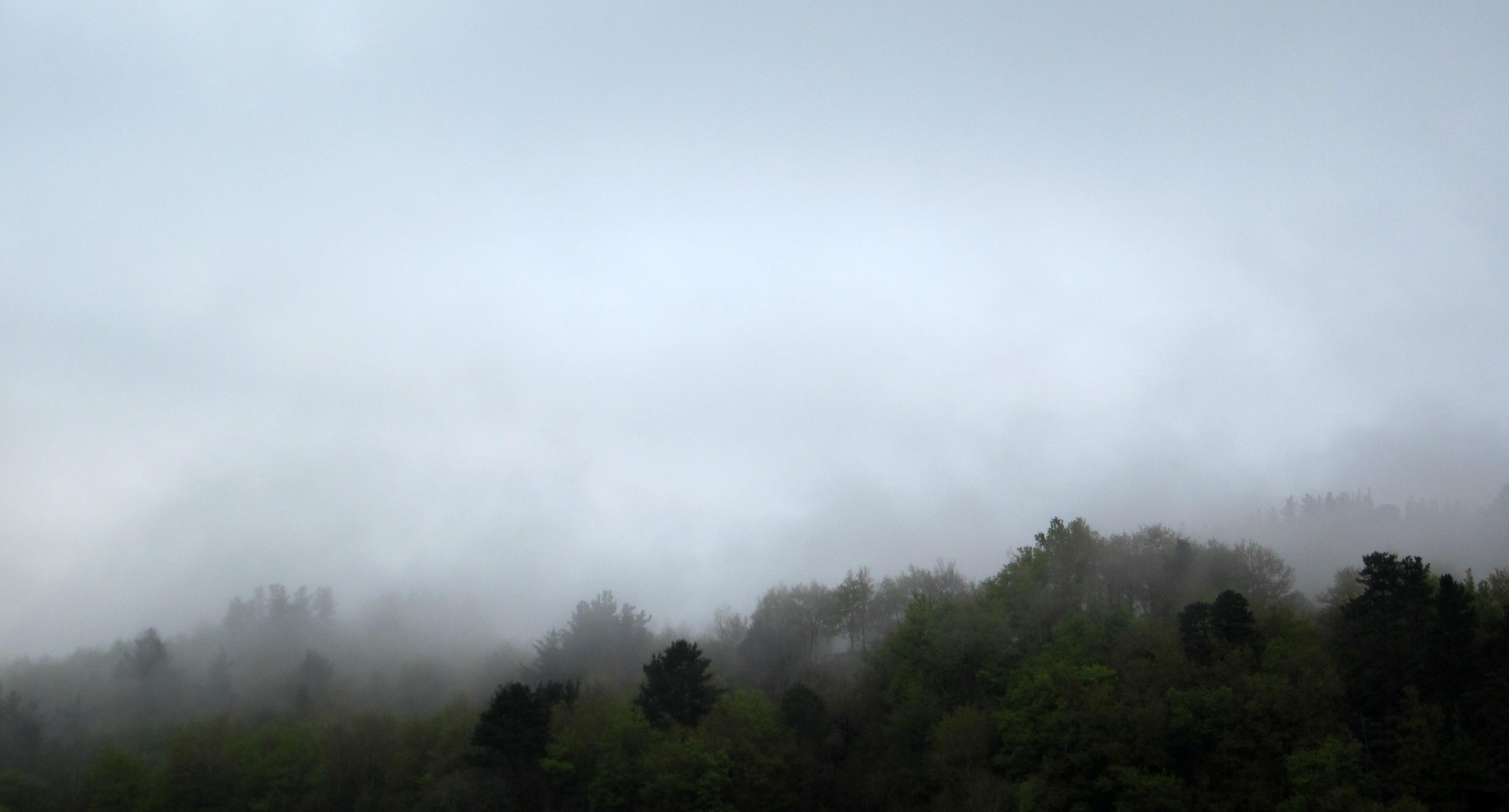 Fotografía en color de un monte boscoso envuelto en niebla