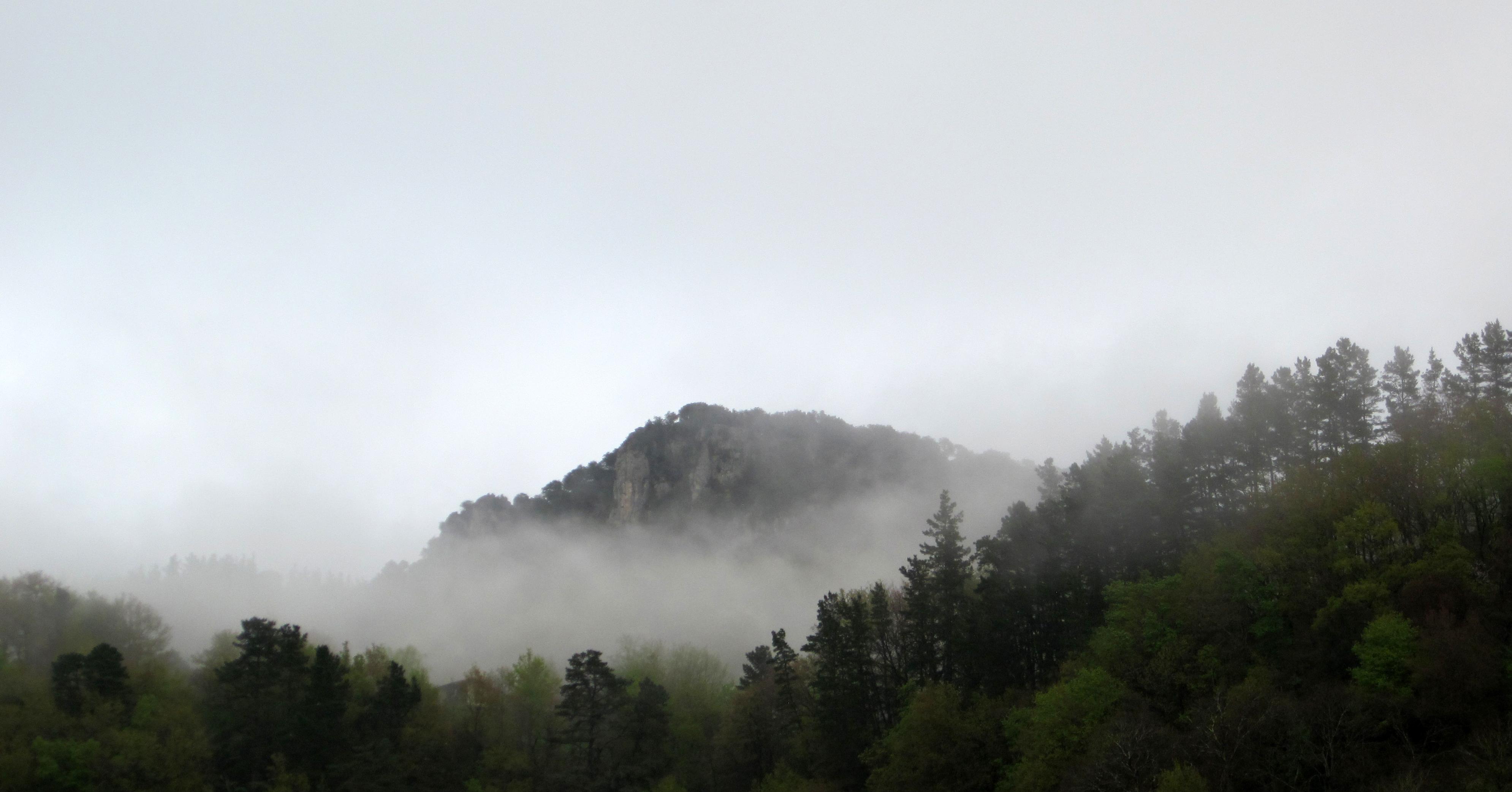 Fotografía en color de un monte boscoso envuelto en niebla