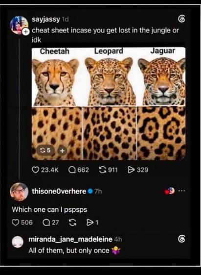 Posted media