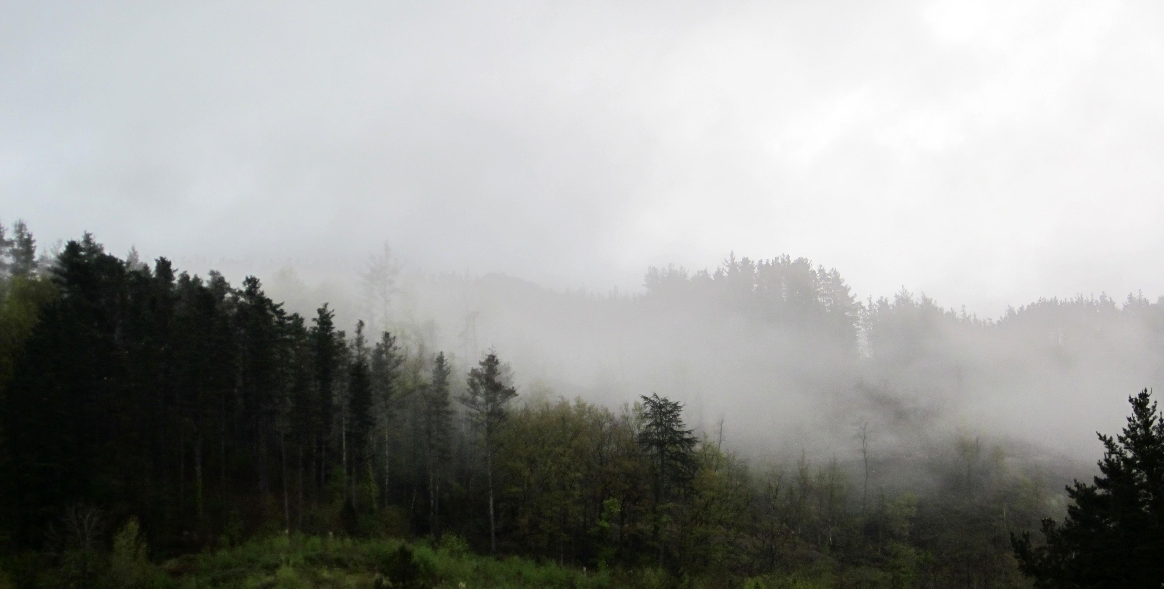 Fotografía en color de un monte envuelto en niebla