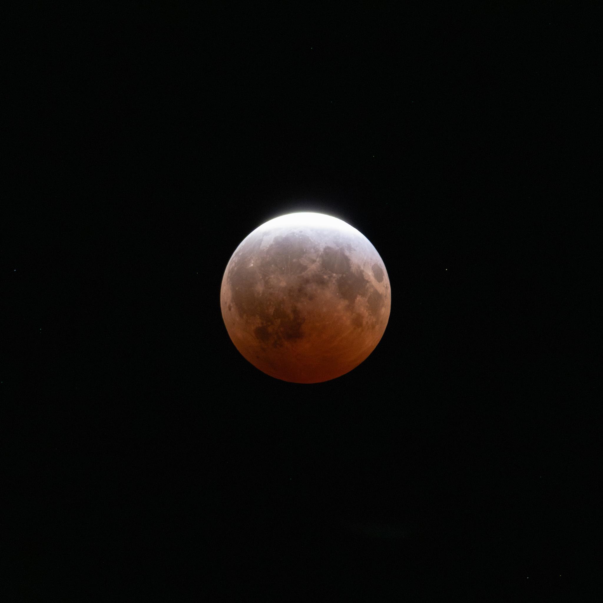 Zoomed-in photo of the moon during a lunar eclipse. The lower left of the moon is rather dark and has a rusty red color. Most of the remainder of the moon is brighter but still reddish in color. Many dark regions and irregular details can be seen on the surface. The very top of the moon is bright and white. The background is black.