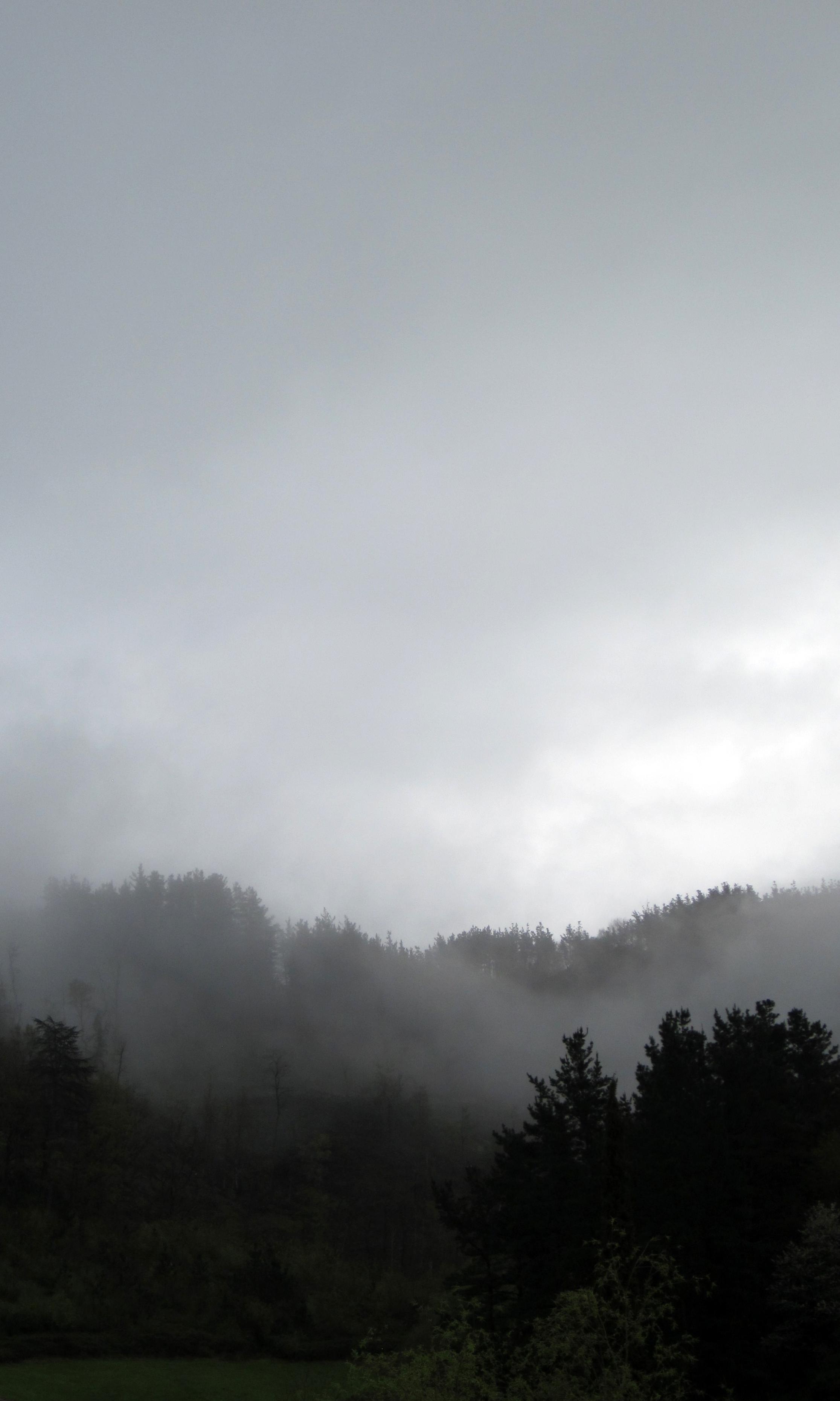 Fotografía en color de montes boscosos envueltos en niebla