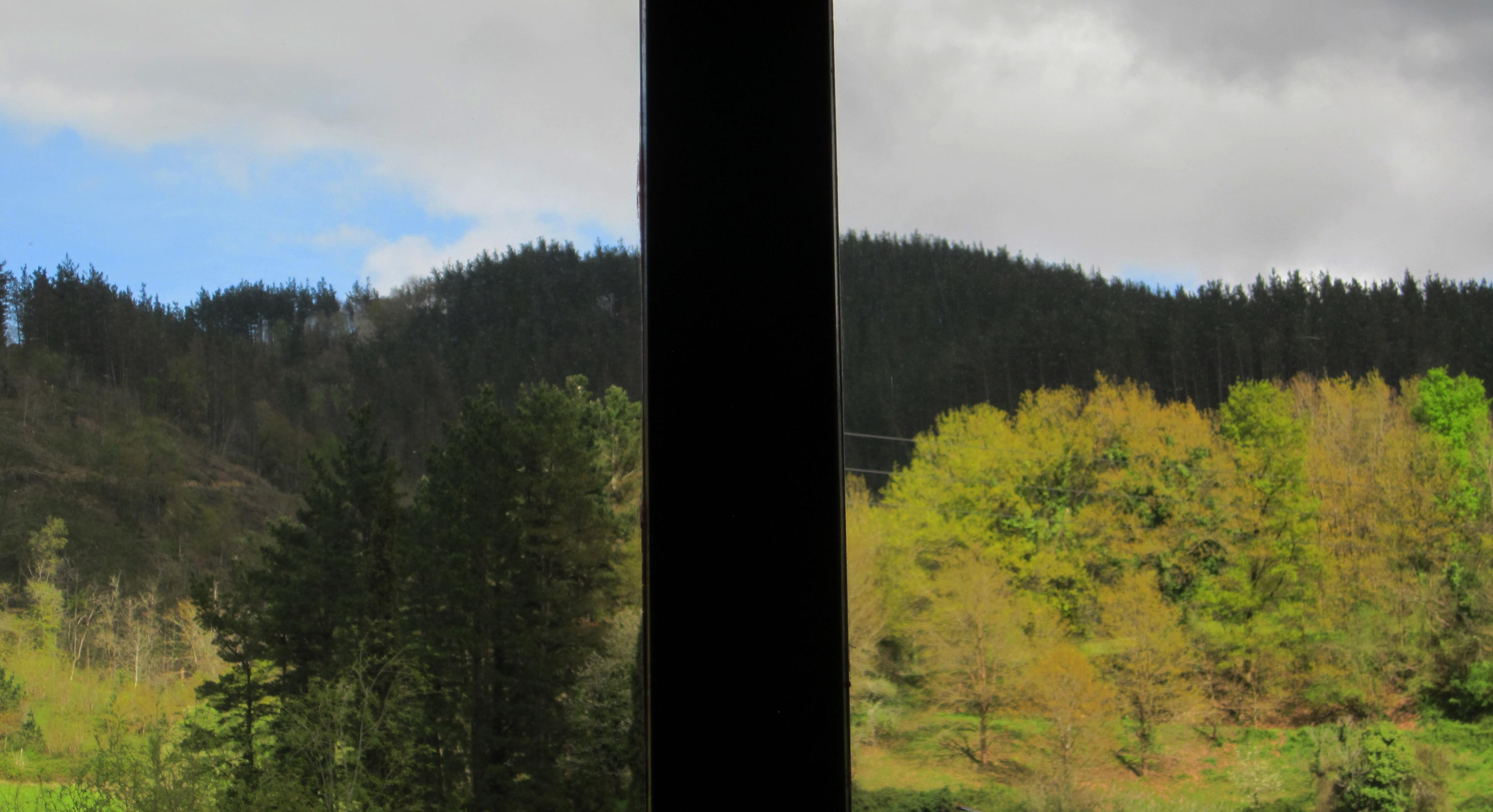 Fotografía en color de la vista de un monte boscoso al sol a través de la ventana