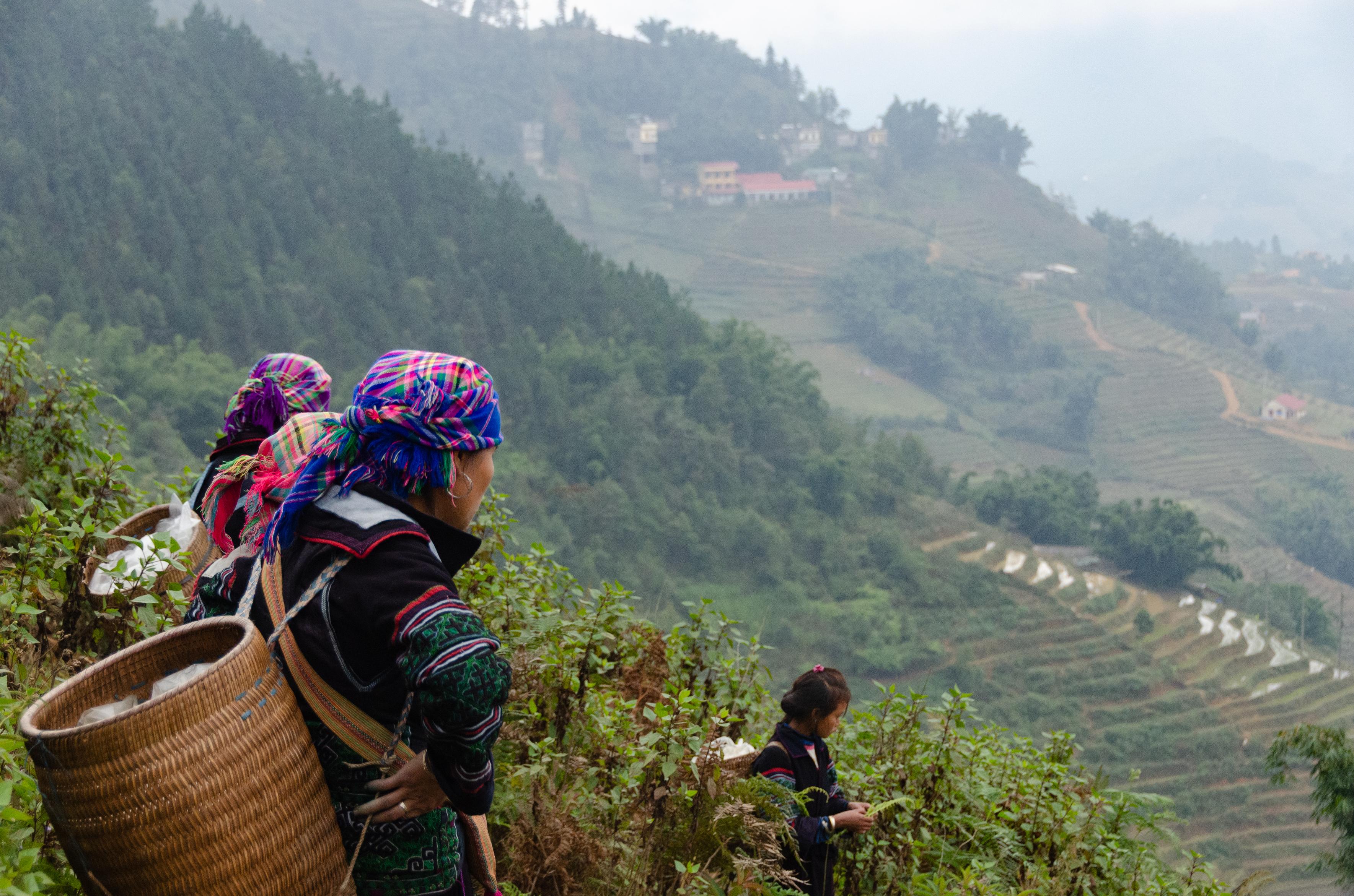 a photo taken in Sapa. two Hmong women in traditional dress with woven back baskets and plaid headwraps standing on a terrace edge looking out over the misty valley with rice paddies. a young girl on the bottom of the frame, a little further away, is also carrying a basket.