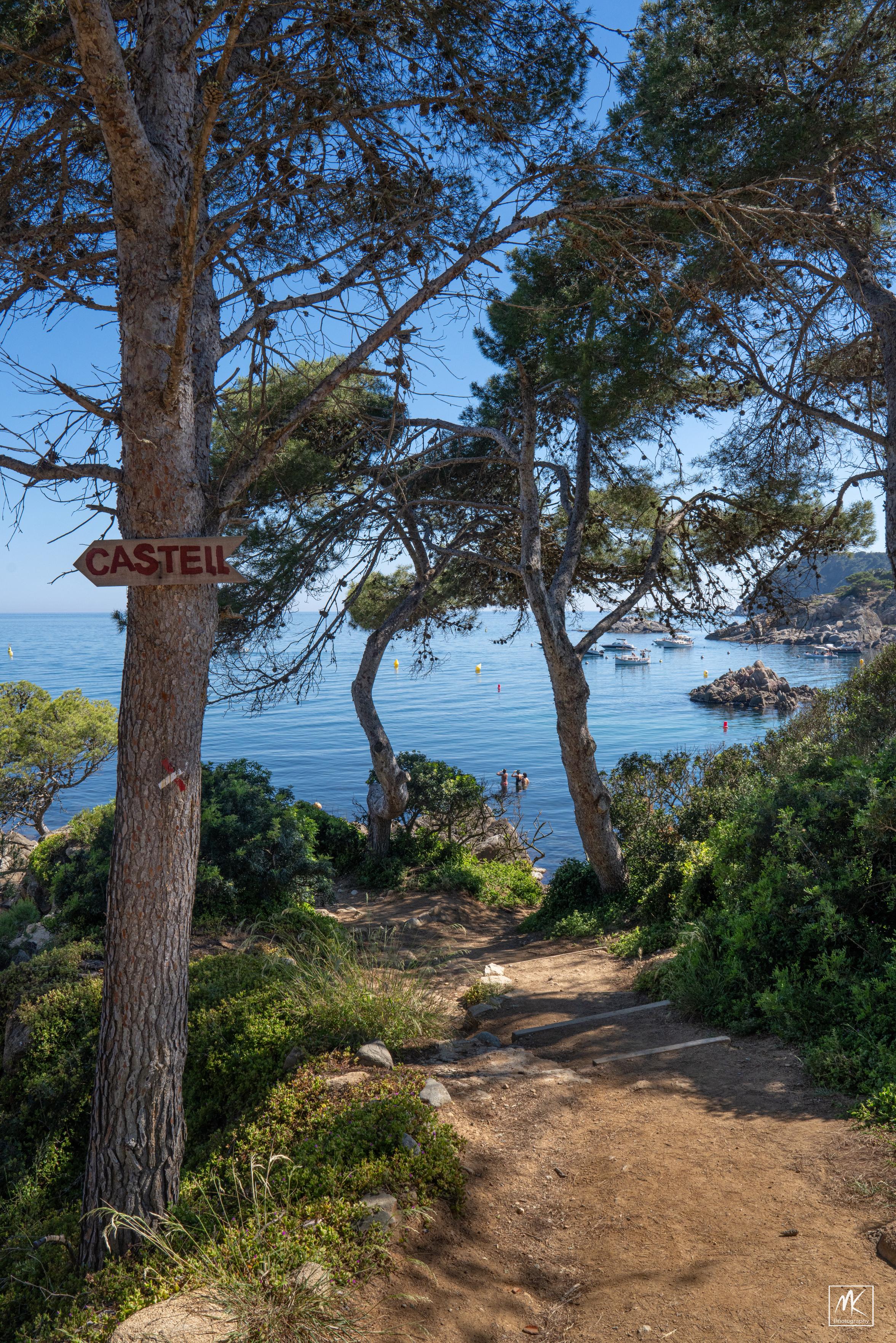 Color photo of a tree-lined footpath leading down to a rocky coastline with several people standing out in the water just offshore.