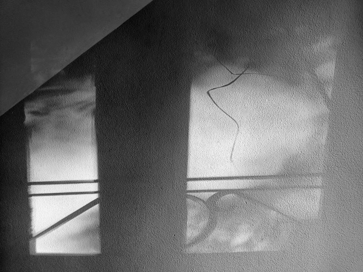 light and shadows from a window landing on a wall