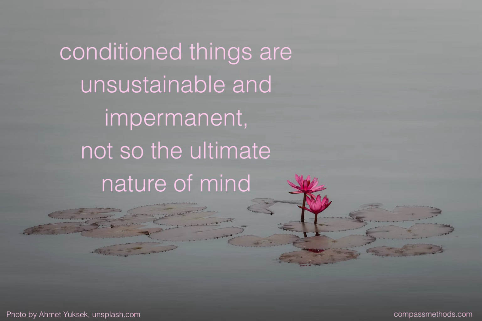 conditional things and unsustainable and impermanent, not so the ultimate nature of mind
