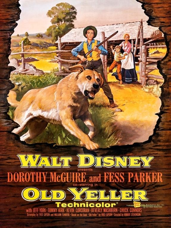 1950s movie poster (Western) with a Yellow dog.
a Disney movie from the book OLD YELLER