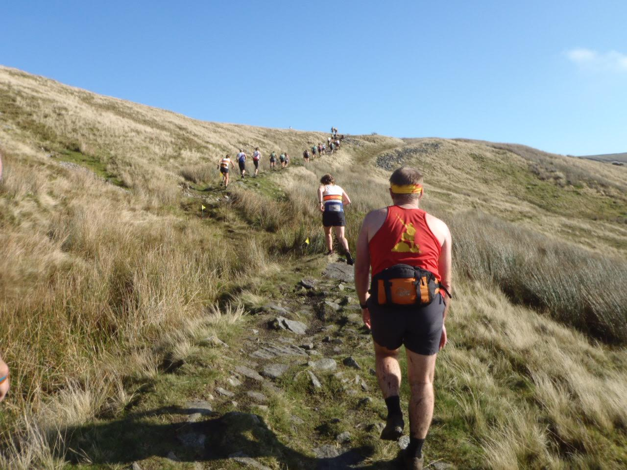 A line of fell runners making their way up a hill path