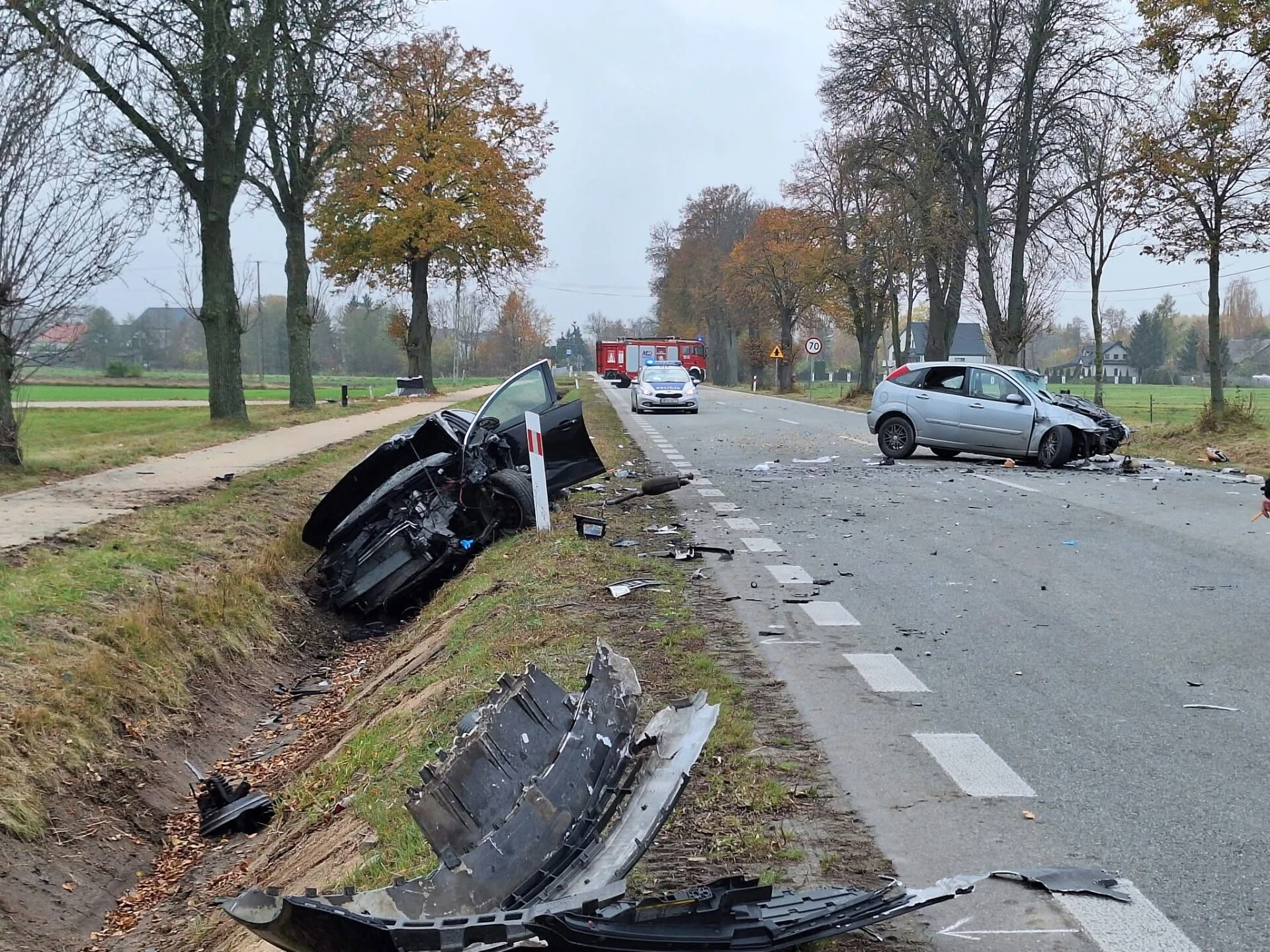 Niebezpieczny początek dnia na DK53. Zderzenie auta z jeleniem (zdjęcia, wideo)