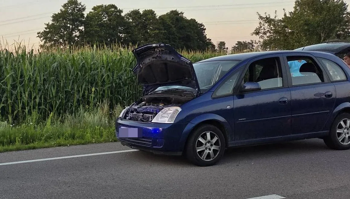 Jechała z trójką dzieci. Przed jej samochód wyszło duże zwierzę. I nie było to dzikie zwierzę (zdjęcia)