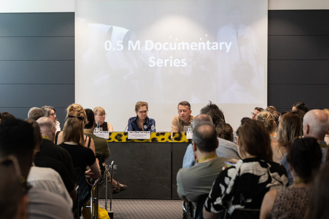 swiss-funding-bodies-discuss-co-financing-at-locarno:-shaping-stories