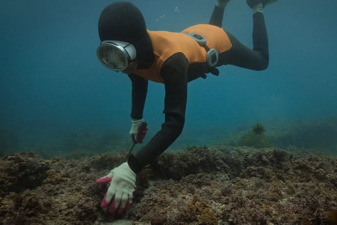 exploring-the-legacy-of-korea’s-last-sea-women-divers