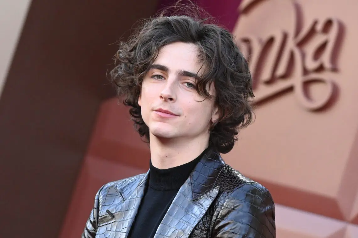 timothee-chalamet-told-he-wasn’t-fit-for-roles-in-big-films-like-‘maze-runner