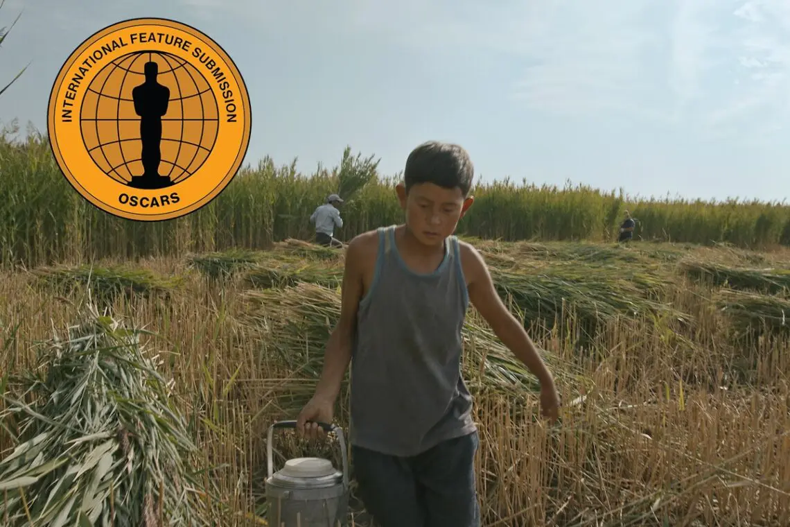 ‘bauryna-salu’-review:-kazakhstan’s-oscar-entry-captures-a-child’s-abandonment