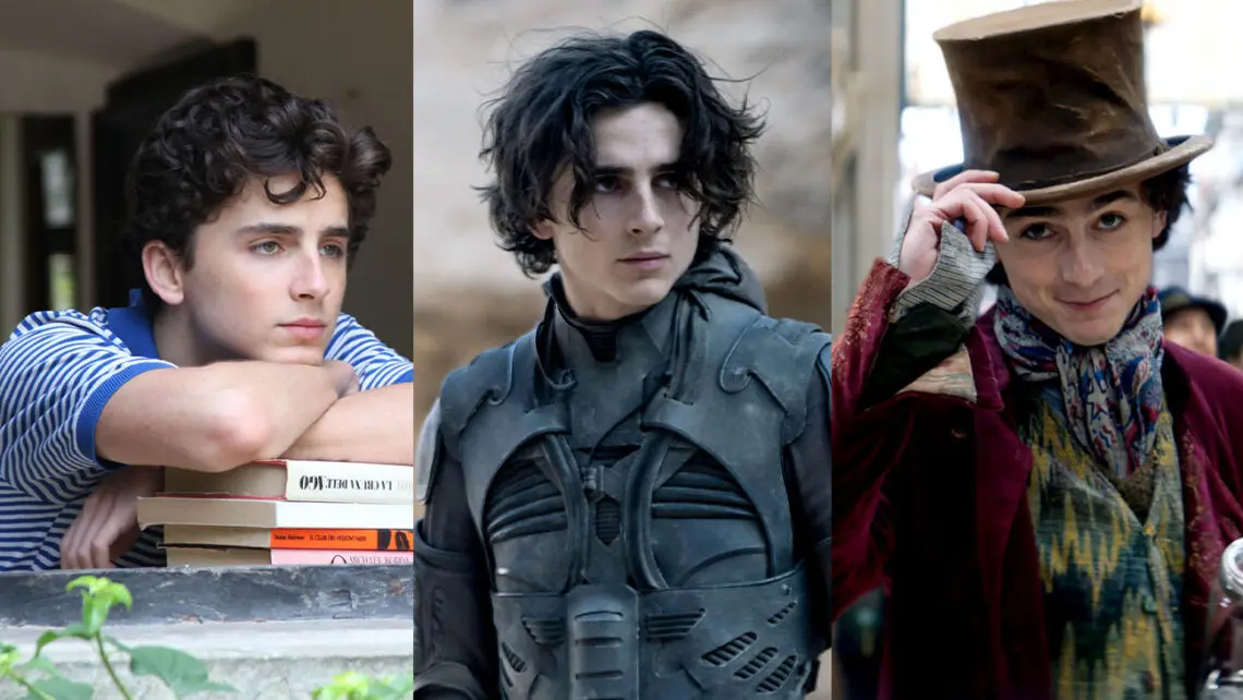 i-10-film-piu-memorabili-di-timothee-chalamet