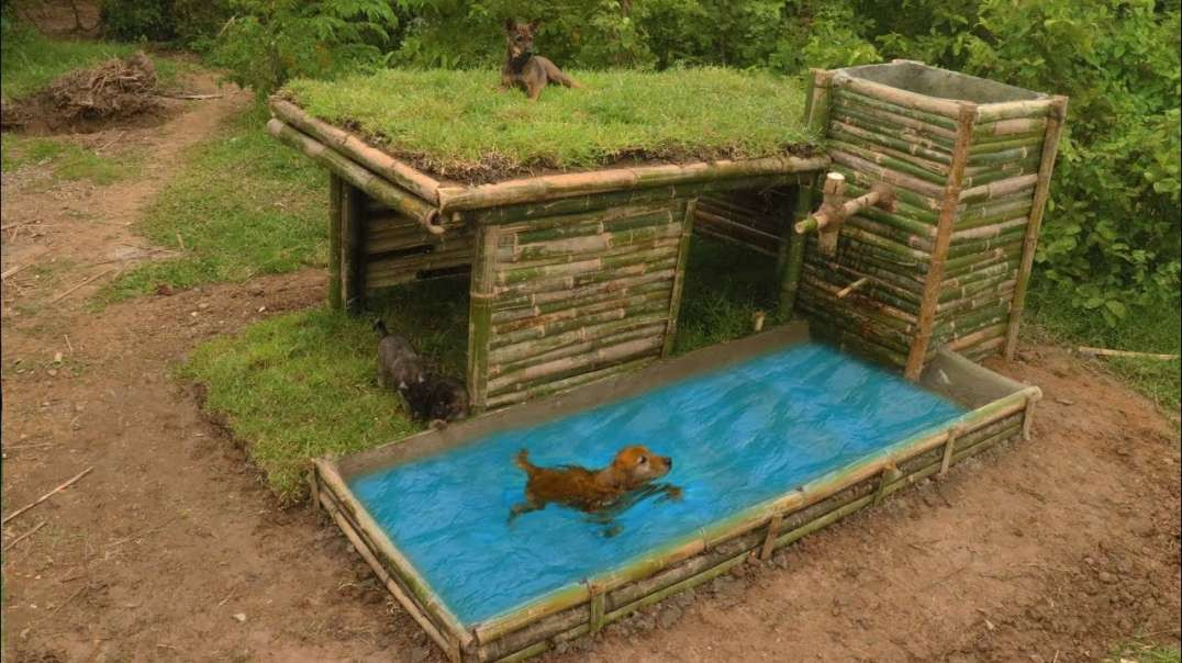Hundehaus mit Schwimmbecken