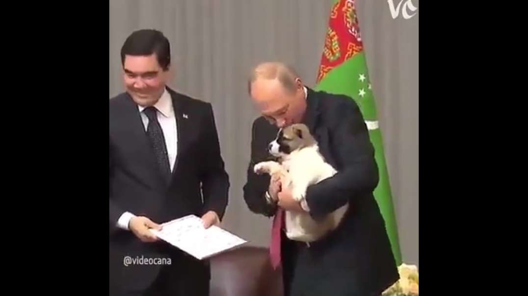 Einen Menschen kann man an der Art wie er Tiere behandelt erkennen! Ein Zarter Putin-Kuss