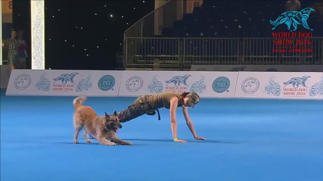 FCI Dog dance World Championship 2016 - Freestyle final - Lusy Imbergerova and Deril (Italy)