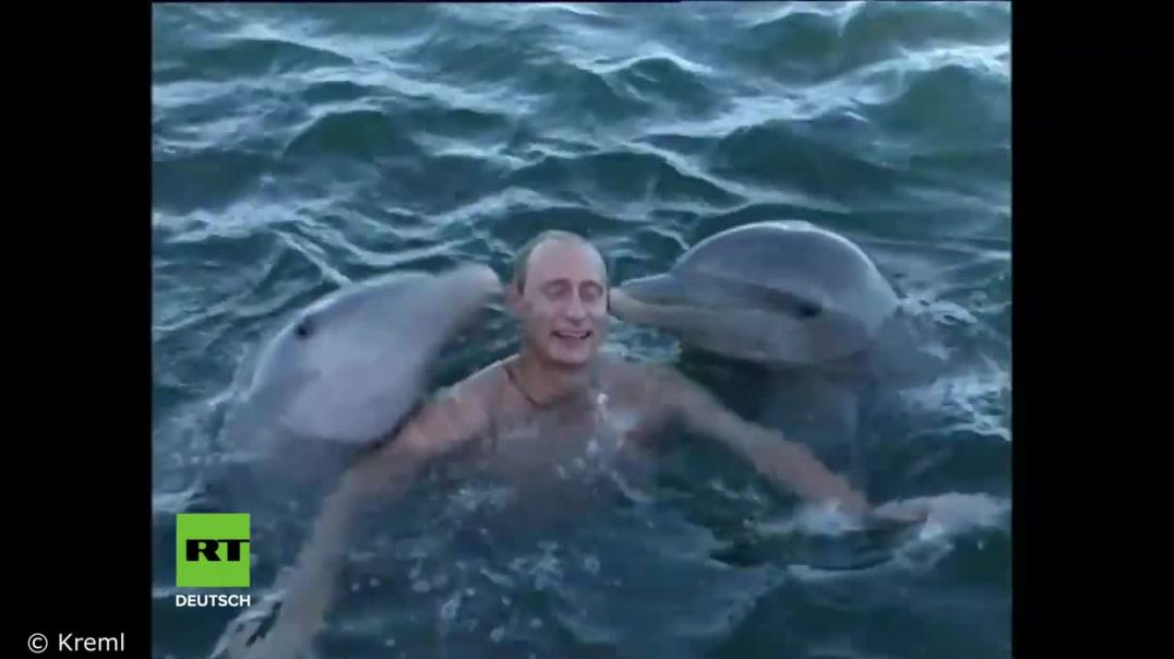 Wladimir Putin schwimmt in Kuba mit Delfinen