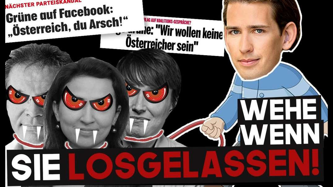 Kurz wird uns "opfern" - das Unheil über Österreich